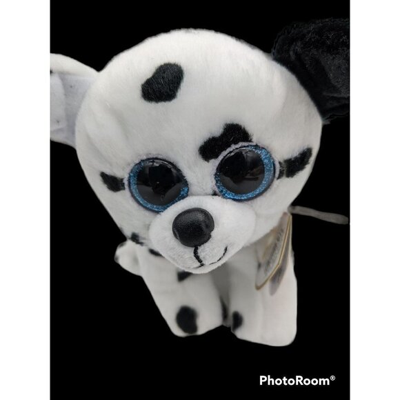 Ty Beanie Boo  Catcher the Dalmatian 5.5" Beanbag Plush Big Blue Eyes 2021 W/Tag - Picture 2 of 8